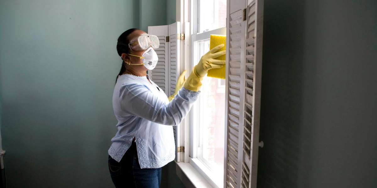 The Best Window Cleaning Services in Toronto – Sky Shine Pro