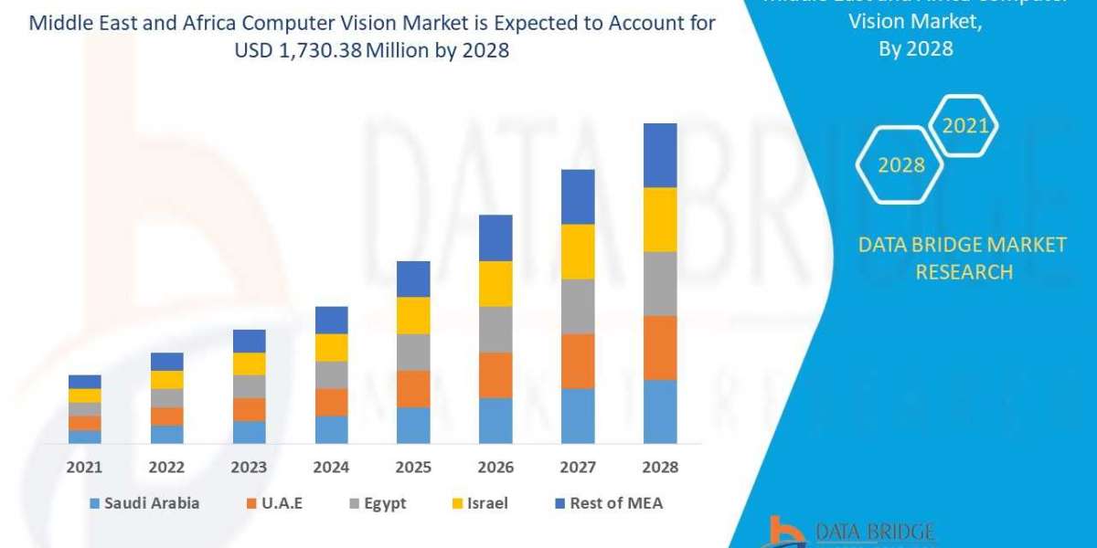 Middle East and Africa Computer Vision Market Thrives with Industrial Automation Surge
