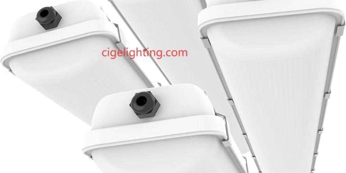 Cige Triproof Led Light Factory Guarantees Mounting System Integrity